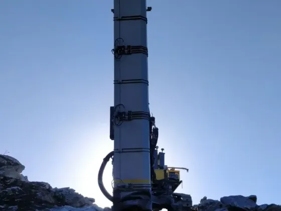 Borrbom i motljus på ett berg